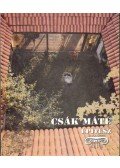 Csák Ferenc - Csák Máté építész