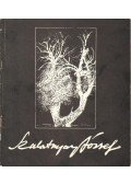 D. Fehér Zsuzsa - Szalatnyay József festőművész kiállítása a Vigadó Galériában (dedikált)