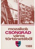 Bálint Gyula György - Mozaikok Csongrád város történetéből 1988
