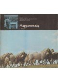 Fekete Gyula - Magyarország