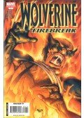 Kolins, Scott,Mike Carey - Wolverine Special: Firebreak One-Shot No. 1