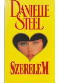 Danielle Steel - Szerelem