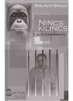 Szilágyi Gyula - Nincs kilincs Szilágyi Gyula - Nincs kilincs, Budapest 2005 antikvár könyv