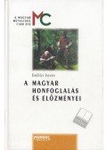 Erdélyi István - A magyar honfoglalás és előzményei