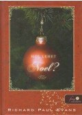 Richard Paul Evans - Hol lehel Noel?