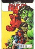 Loeb, Jeph,John Romita Jr. - Fall of the Hulks: Gamma No. 1