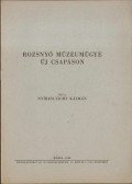 Nyíresi-Tichy Kálmán - Rozsnyó múzeumügye új csapáson