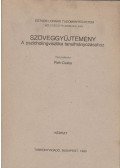 Pléh Csaba - Szöveggyűjtemény a pszicholingvisztika tanulmányozásához