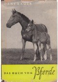Bauer, Hans - Das Buch vom Pferde