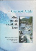 Csernok Attila - Mint patak a sziklák közt