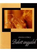 Jánosi György - Bukott angyalok
