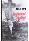 Bogdán László - Felröppenő flamingó