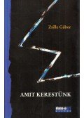 Zsille Gábor - Amit kerestünk