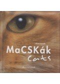 Bacchella, Adriano - Macskák / Cats