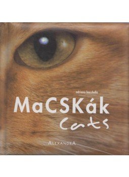 Bacchella, Adriano - Macskák / Cats Bacchella, Adriano - Macskák / Cats, Pécs 2005 antikvár könyv