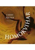 CSEHY ZOLTÁN - Homokvihar