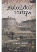 Schein Gábor - Bolondok tornya