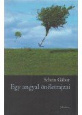 Schein Gábor - Egy angyal önéletrajzai