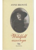Anne Brontë - Wildfell asszonya