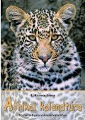 L Kelemen Gábor - Afrikai kalandtúra - Szafari a Ngala vadrezervátumban - Elefánthátoon Zimbabwében - Luxusvonattal Botswanán át