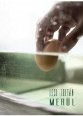 Lesi Zoltán - Merül