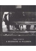 Ingo Schulze - A boldogság 33 pillanata