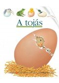 René Mettler - A tojás