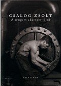 Csalog Zsolt - A tengert akartam látni