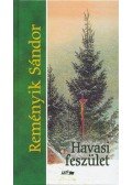 Reményik Sándor - Havasi feszület