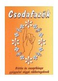 Forgách Éva - Csodafazék