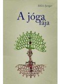 B.K.S. Iyengar - A jóga fája