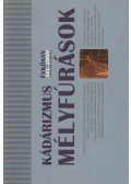 Tischler János - Kádárizmus - mélyfúrások