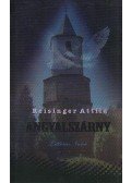 Reisinger Attila - Angyalszárny