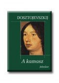 Dosztojevszkij, Fjodor Mihajlovics - A kamasz