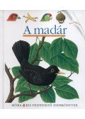 René Mettler,Claude Delafosse - A madár