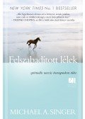 MICHAEL A. SINGER - Felszabadított lélek