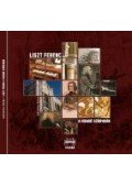 Watzatka Ágnes - Liszt Ferenc a Vigadó színpadán