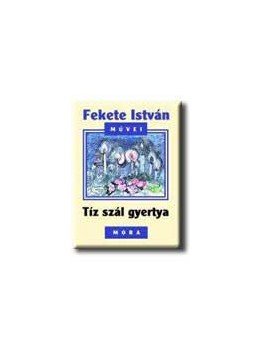 Fekete István - Tíz szál gyertya Fekete István - Tíz szál gyertya, null 0 antikvár könyv