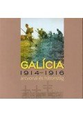 Sebestyén Mihály - Galícia - 1914-1916 arcvonal és hátország