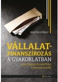 Walter György - Vállalatfinanszírozás a gyakorlatban - Lehetőségek és döntések a magyar piacon