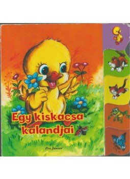 Radvány Zsuzsa - Egy kiskacsa kalandjai Radvány Zsuzsa - Egy kiskacsa kalandjai, 0 antikvár könyv