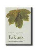 Vida Gábor - Fakusz három magányossága