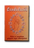 Forgách Éva - Csodafazék