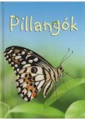 Stephanie Turnbull - Kis könyvtár - Pillangók