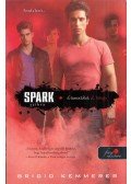 Brigid Kemmerer - Spark - Szikra - Elementálok 2.