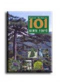 Czáka Sarolta - 101 kerti fenyő