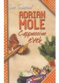 Sue Townsend - Adrian Mole - Cappuccino évek