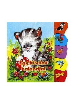 Radvány Zsuzsa - Egy kiscica kalandjai Radvány Zsuzsa - Egy kiscica kalandjai, null 2015 antikvár könyv