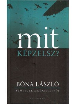 Bóna László - Mit képzelsz? Bóna László - Mit képzelsz?, Pozsony 2012 antikvár könyv