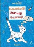 Török Ágnes - Gondolkodj! Számolj! Gyakorolj! 3.